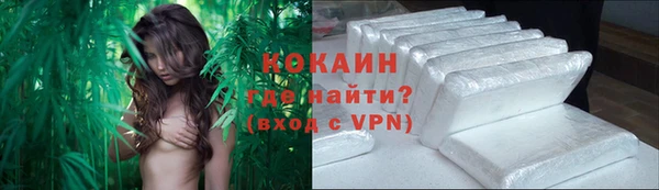 гашик Медногорск