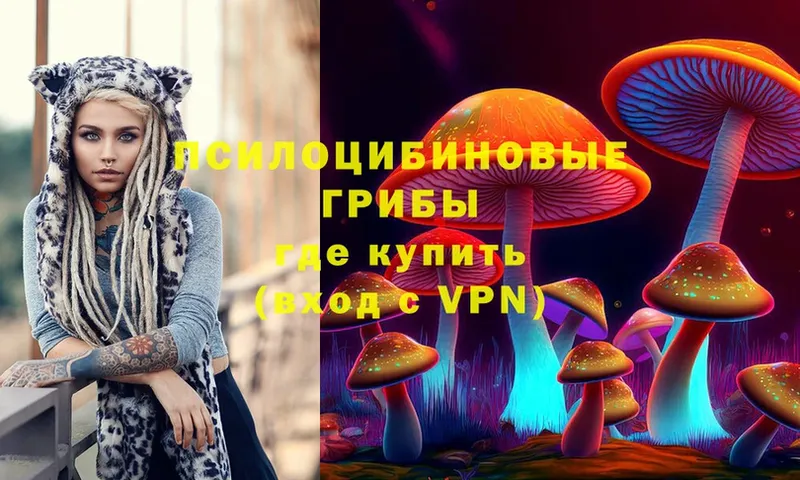 Псилоцибиновые грибы мухоморы  Дудинка 