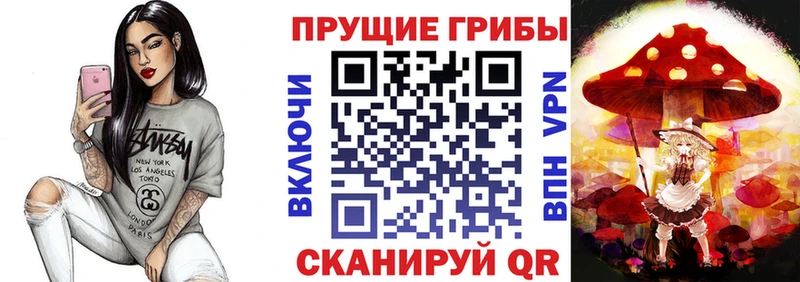 kraken рабочий сайт  наркотики  Дудинка  Галлюциногенные грибы Psilocybine cubensis 